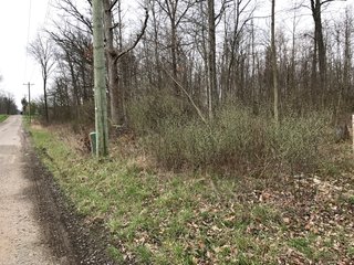 Property photo 41 - LAND AUCTION - 156.63+/- ACRES OFFERED IN 7 TRACTS IN ALLEN COUNTY, INDIANA